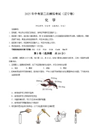 2025年中考第二次模拟考试卷：化学（辽宁卷）（考试版）