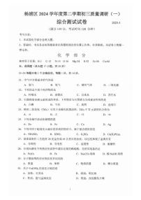 2025届上海市杨浦区中考二模化学试卷（含答案与解析）