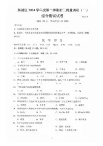 2025届上海市杨浦区中考二模化学试卷（含答案与解析）