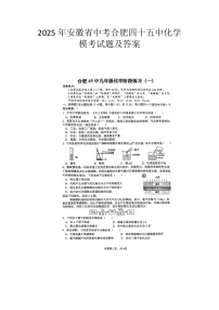 2025年安徽省中考合肥四十五中化学模考试题及答案
