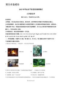 2025年济南市中考初三化学二模试题及其答案解析