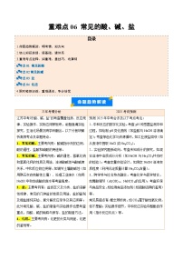重难点06 常见的酸、碱、盐-2025年中考化学【热点·重点·难点】专练（江苏专用）(含答案与解析)