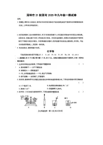 深圳市21校联考2025年九年级一模（扫描版）化学试卷