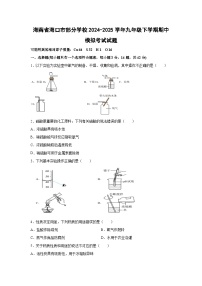 海南省海口市部分学校2024-2025学年九年级下学期期中模拟考试化学试卷（解析版）