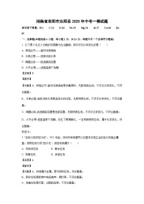 河南省洛阳市汝阳县2025年中考一模化学试卷（解析版）