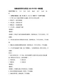 河南省洛阳市汝阳县2025年中考一模化学试卷（解析版）