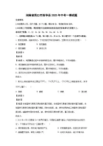 河南省周口市西华县2025年中考一模化学试卷（解析版）