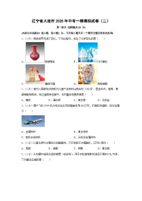 辽宁省大连市2025年中考一模模拟（二）化学