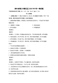 贵州省铜仁市碧江区2025年中考一模化学试卷（解析版）