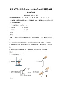 甘肃省天水市清水县2024-2025学年九年级下学期开学摸底考试化学试卷（解析版）