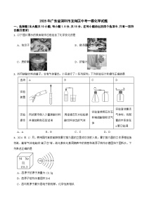 2025年广东省深圳市龙岗区中考一模化学试题附答案