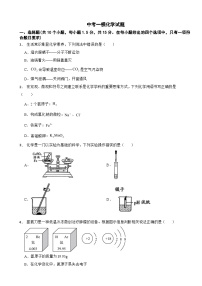 广东省深圳市2025年中考一模化学试题附答案