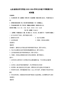 山东省泰安市宁阳县2023-2024学年九年级下学期期中考试化学试卷（解析版）