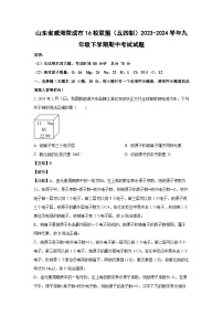 山东省威海荣成市16校联盟（五四制）2023-2024学年九年级下学期期中考试化学试卷（解析版）