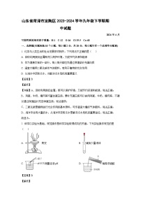 山东省菏泽市定陶区2023-2024学年九年级下学期期中化学试卷（解析版）