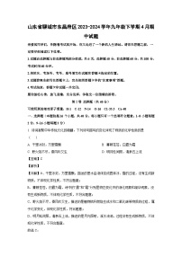 山东省聊城市东昌府区2023-2024学年九年级下学期4月期中化学试卷（解析版）