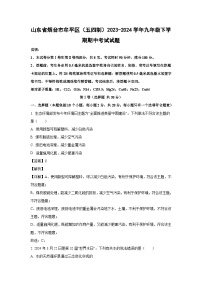 山东省烟台市牟平区（五四制）2023-2024学年九年级下学期期中考试化学试卷（解析版）