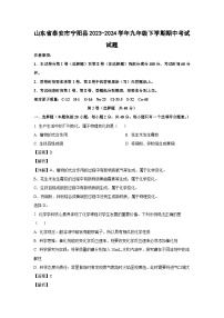 山东省泰安市宁阳县2023-2024学年九年级下学期期中考试化学试卷（解析版）