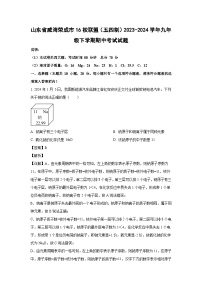 山东省威海荣成市16校联盟（五四制）2023-2024学年九年级下学期期中考试化学试卷（解析版）