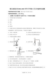 2024-2025学年湖北省武汉市九年级下学期3月月考化学检测试题（含解析）