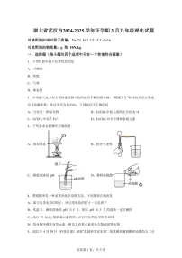 2024-2025学年湖北省武汉市九年级下学期3月月考化学检测试题（含解析）