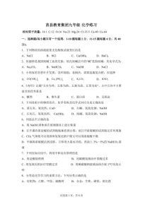 2024-2025学年山东省日照市莒县九年级下学期第一次月考化学检测试题（含解析）