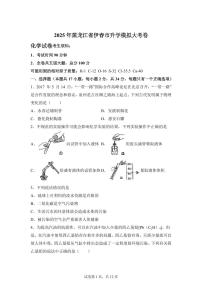 2025届黑龙江省伊春市中考第一次模拟考试化学检测试题（含解析）