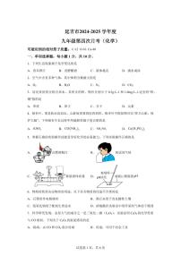 2025届吉林省延吉市中考（一模）化学检测试题（含解析）