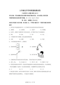 2025届辽宁省大连市沙河口区中考（一模）化学检测试题（含解析）