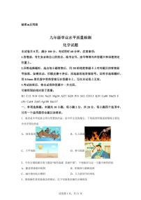 2025届山东省济南市市中区中考（一模）化学检测试题（含解析）