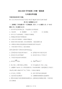 2025届山东省济宁市任城区中考（一模）化学检测试题（含解析）