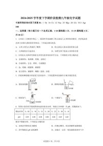2025届山东省日照市中考（一模）化学检测试题（含解析）