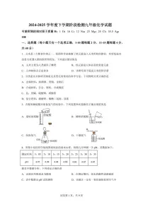 2025届山东省日照市中考（一模）化学检测试题（含解析）