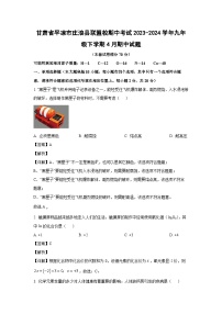 甘肃省平凉市庄浪县联盟校期中考试2023-2024学年九年级下学期4月期中化学试卷（解析版）
