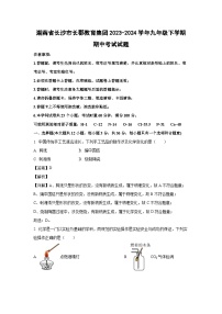 湖南省长沙市长郡教育集团2023-2024学年九年级下学期期中考试化学试卷（解析版）