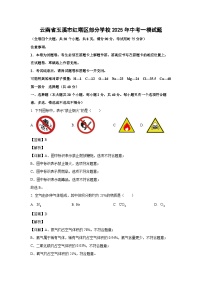 云南省玉溪市红塔区部分学校2025年中考一模化学试题（解析版）