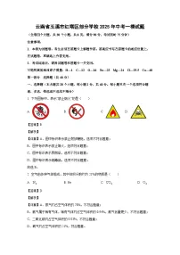 云南省玉溪市红塔区部分学校2025年中考一模化学试题（解析版）