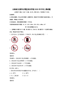 云南省玉溪市红塔区部分学校2025年中考二模化学试题（解析版）