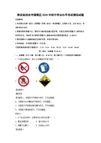 陕西省西安市雁塔区2025年初中学业水平考试模拟化学试题（解析版）