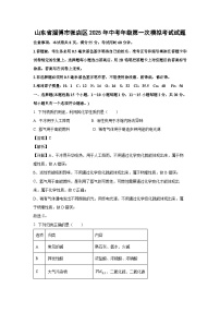 山东省淄博市张店区2025年中考年级第一次模拟考试化学试题（解析版）