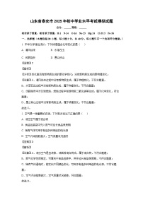 山东省泰安市2025年初中学业水平考试模拟化学试题（解析版）