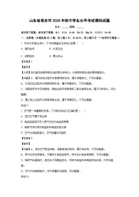 山东省泰安市2025年初中学业水平考试模拟化学试题（解析版）