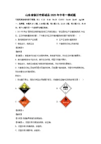 山东省临沂市郯城县2025年中考一模化学试题（解析版）