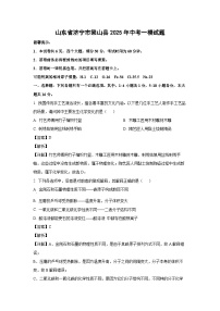山东省济宁市梁山县2025年中考一模化学试题（解析版）