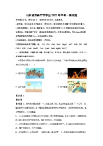 山东省济南市市中区2025年中考一模化学试题（解析版）