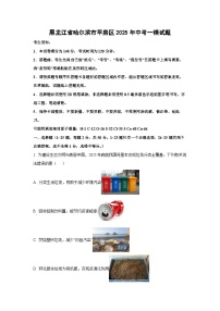 黑龙江省哈尔滨市平房区2025年中考一模化学试题（解析版）