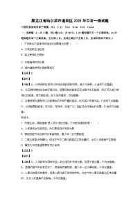 黑龙江省哈尔滨市道里区2025年中考一模化学试题（解析版）