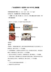广东省深圳市31校联考2025年中考二模化学试题（解析版）