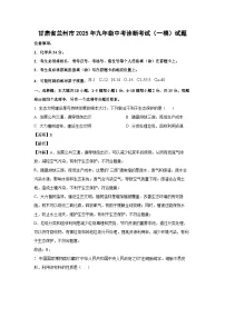甘肃省兰州市2025年九年级中考诊断考试（一模）化学试题（解析版）