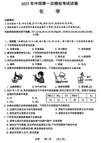濮阳市2025中招第一次模拟考试试卷 化学及答案